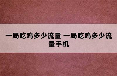 一局吃鸡多少流量 一局吃鸡多少流量手机